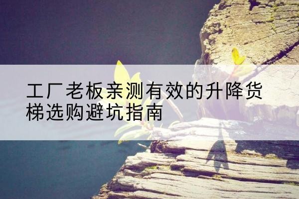 双塔升降货梯怎么选-工厂老板亲测有效的升降货梯选购避坑指南