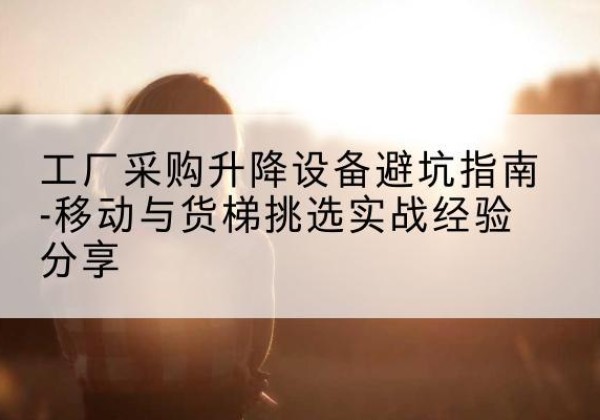 双塔移动式升降机怎么选-工厂采购升降设备避坑指南-移动与货梯挑选实战经验分享