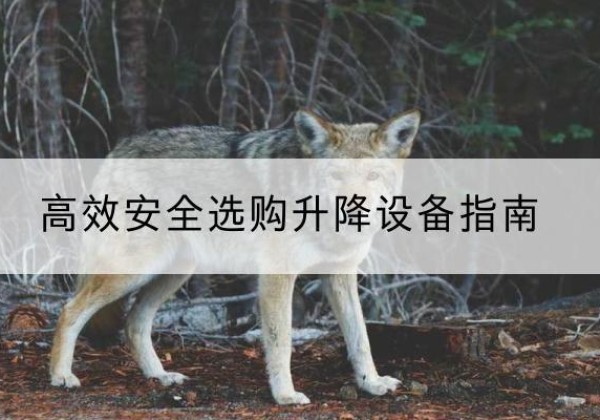 双塔升降货梯厂家推荐-*安全选购升降设备指南