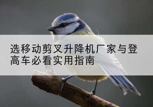 双塔电动升降机厂家-选移动剪叉升降机厂家与登高车必看实用指南