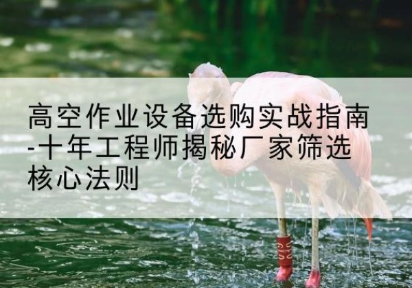 双塔剪叉式升降机厂家-高空作业设备选购实战指南-十年工程师揭秘厂家筛选核心法则