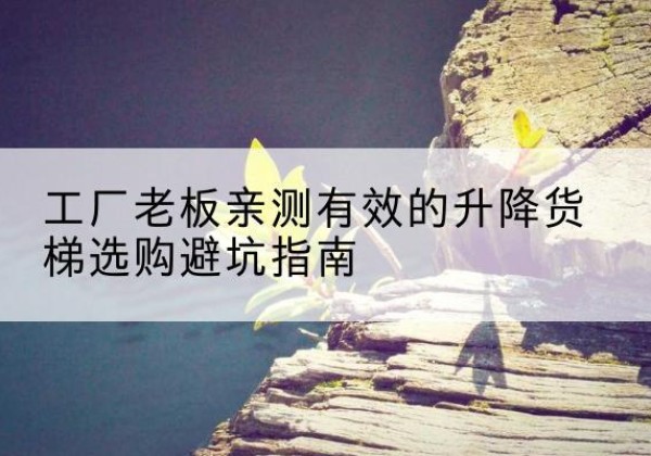 双塔升降货梯怎么选-工厂老板亲测有效的升降货梯选购避坑指南